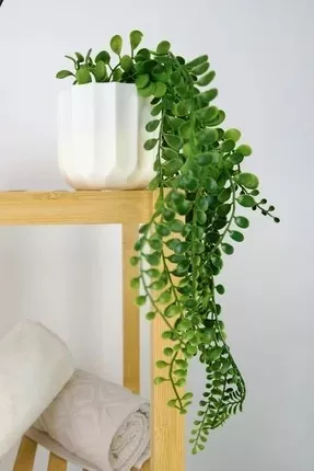 Sarkan Çiçek Büyük