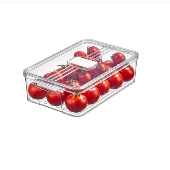 Frostora Buzluk Organizeri 5.1 Lt. (Şeffaf)