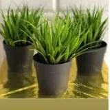 Yeni Sazlık Yapay Çiçek