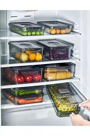 Frostora Buzluk Organizeri 3 Lt. (Gri)