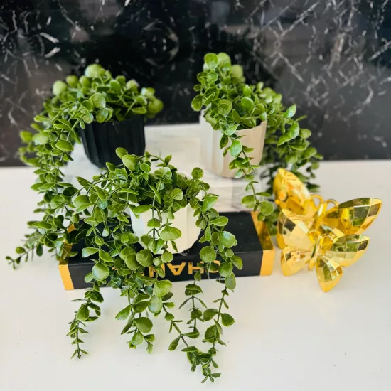 Sarkan Çiçek Küçük